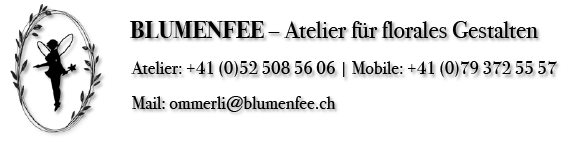 Logo de Blumenfee